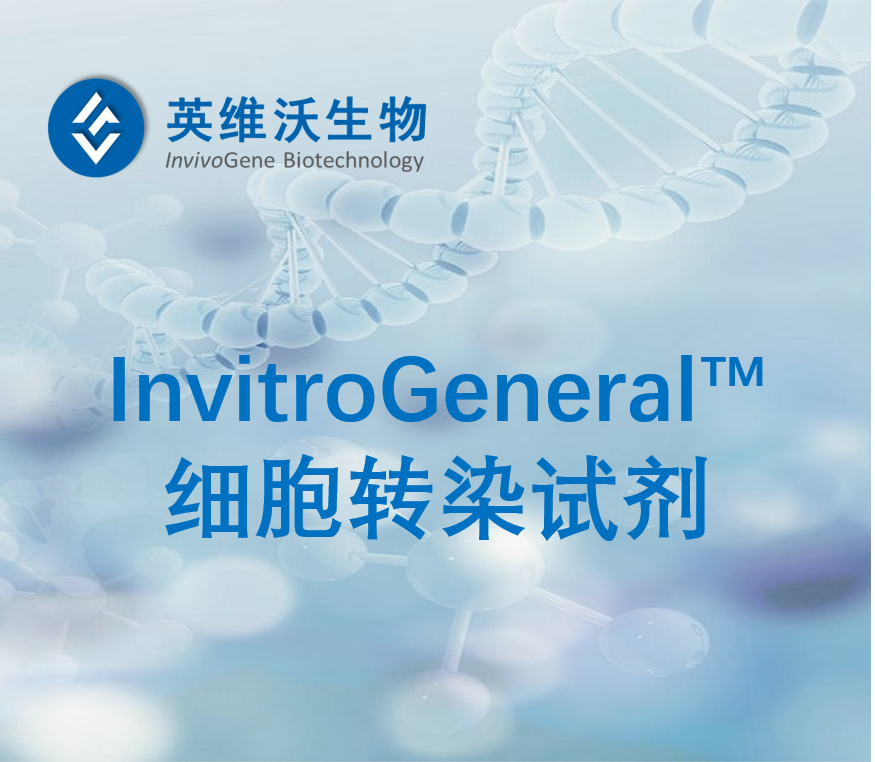 通用型轉(zhuǎn)染試劑